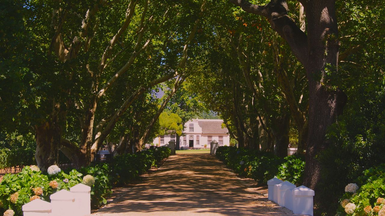 Franschhoek - de wijnhoofdstad van Zuid-Afrika | Matoke Tours